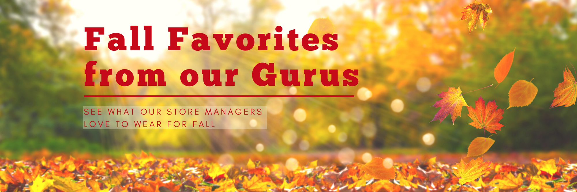 Fall Favorites from Our Stores' Gurus