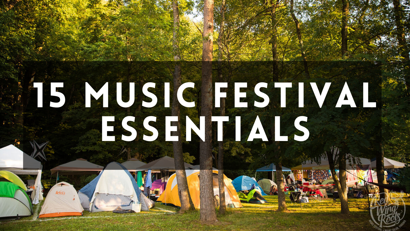 15 Top Music Festival Essentials