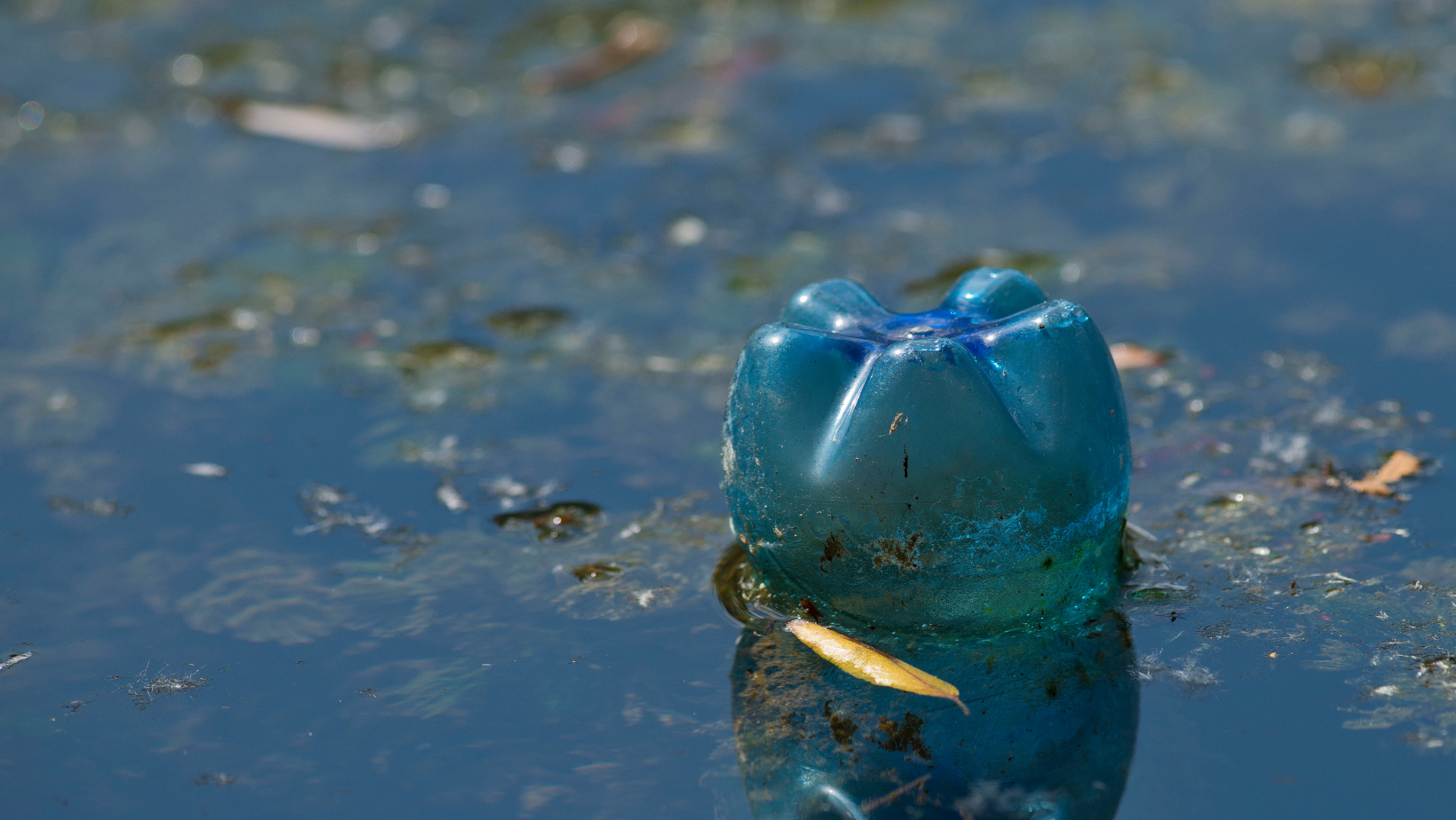 Plastic bottle in water - Walkabout water health