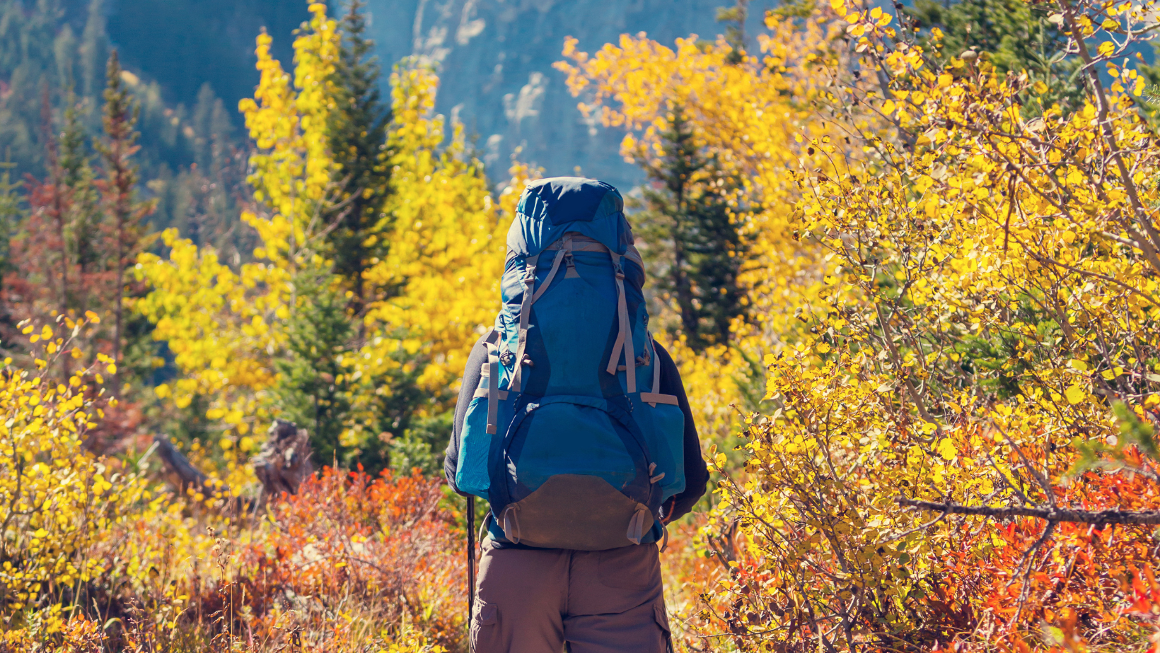 Fall hiking, backpack, trekking poles, hiker