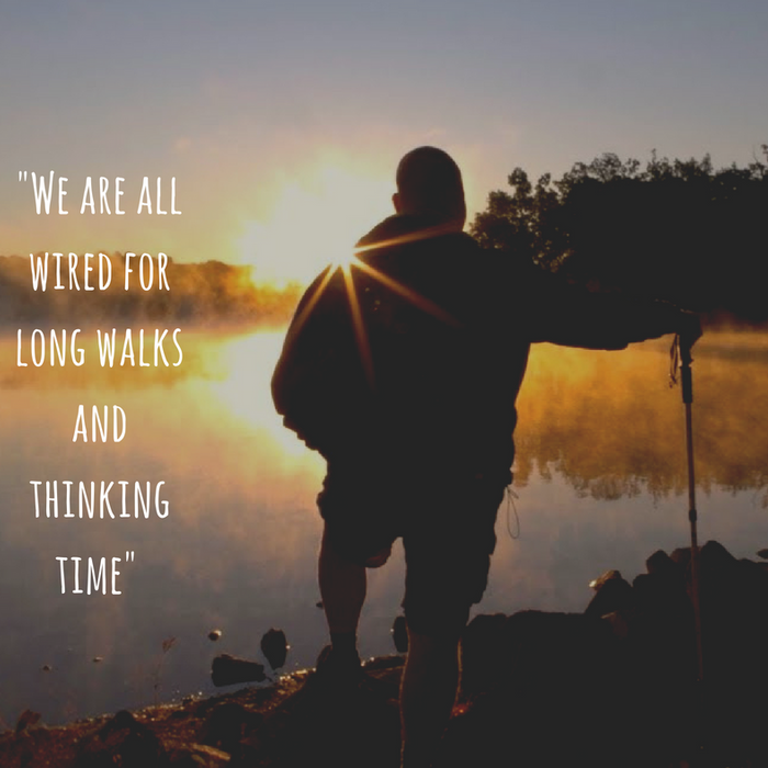 Free Camino de Santiago presentations