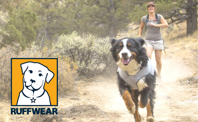 FREE dog treat & pack fitting THIS WEEKEND (7/24-7/26)