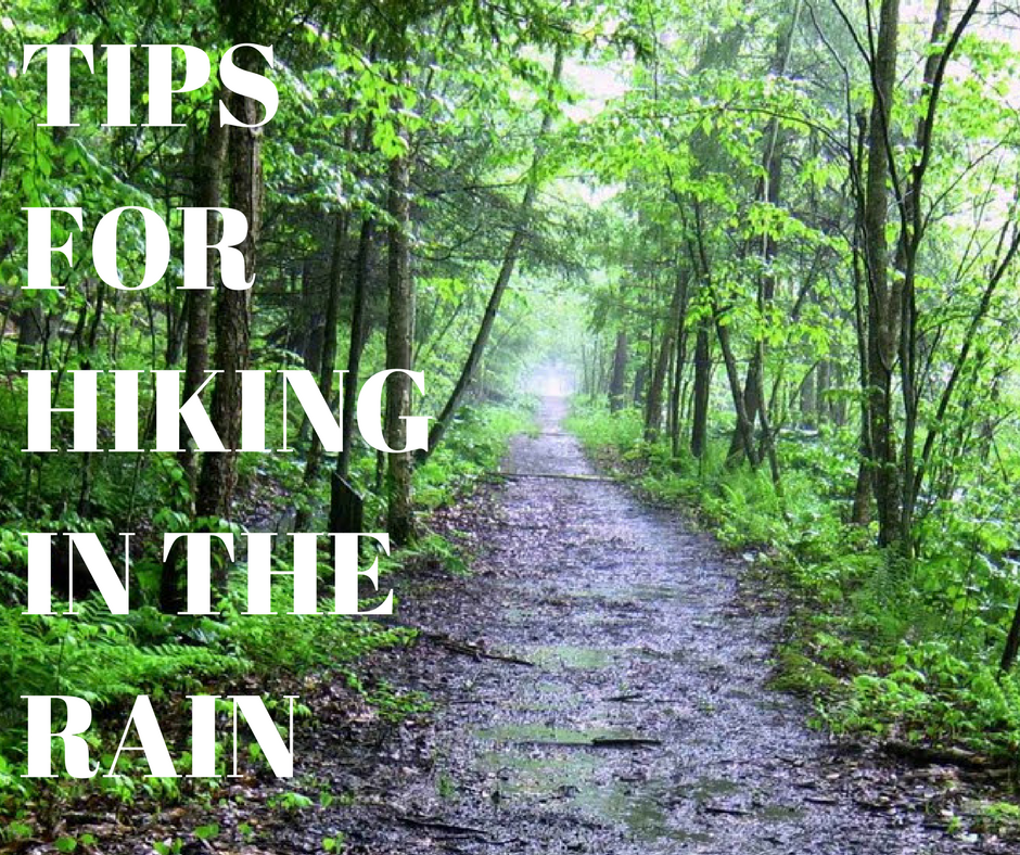 Rain in the forecast? Great!