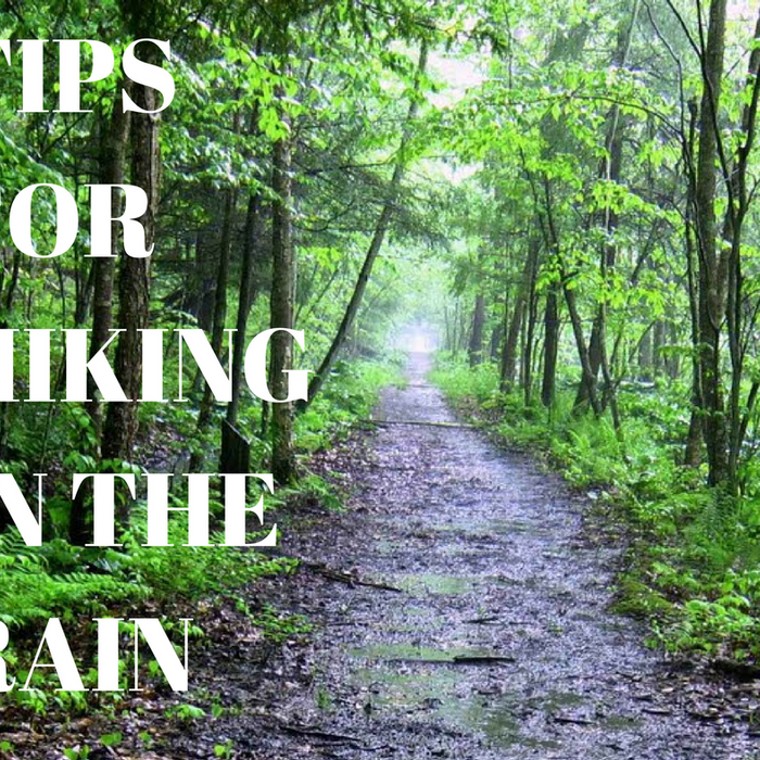 Rain in the forecast? Great!