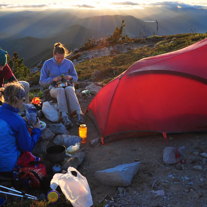 Traveling: Using Cellular vs. Satellite