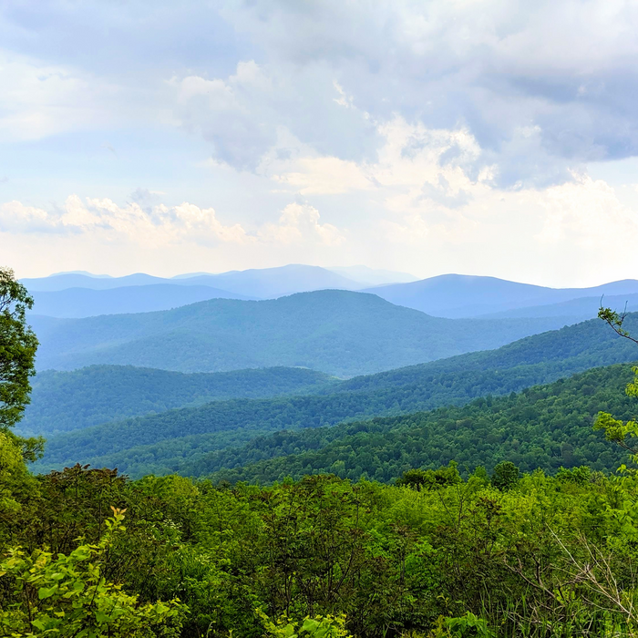 Summers in Southwest Virginia
