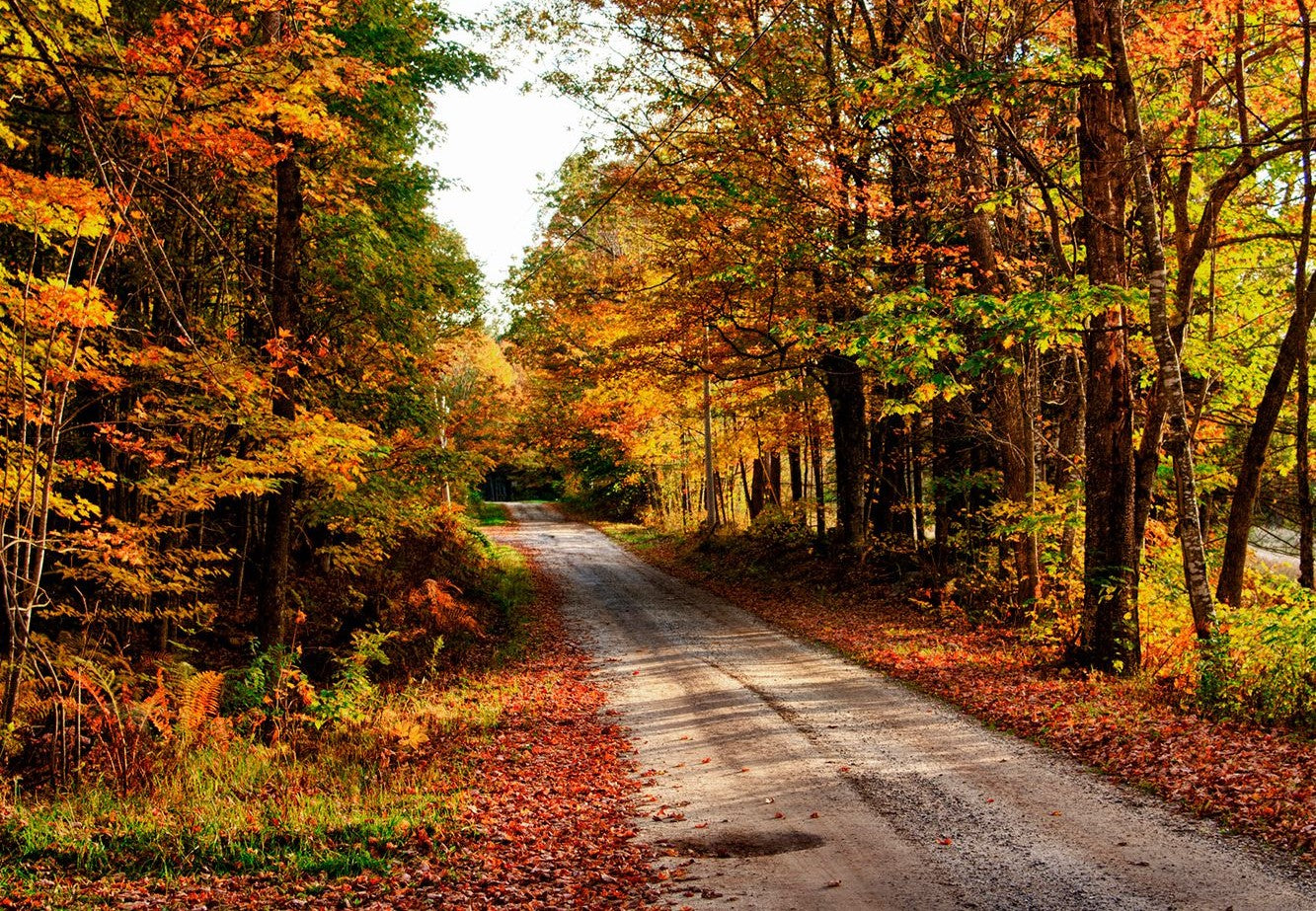 Best Places for Fall Foliage Viewing in Aroostook County, Maine