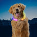 Nite Ize Nitehowl Max Rechargeable Led Safety Necklace - Disc-o Select