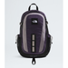 The North Face Hot Shot Se Endless Dusk/Stone Slab/Transcendent Grey