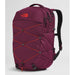 The North Face Borealis Mushroom Grey/Tawny Quartz