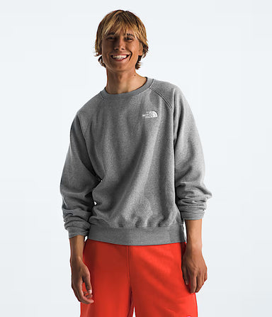 The North Face Mens Evolution Simple Dome Crew