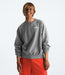 The North Face Mens Evolution Simple Dome Crew