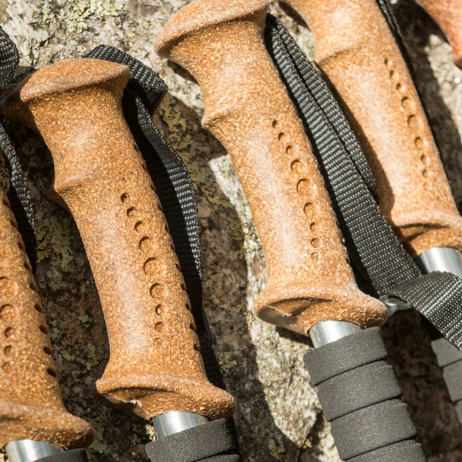 trekking poles close up