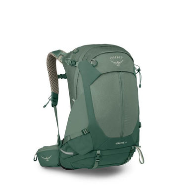 Osprey Packs Stratos 34 Hiking Backpack Pine Leaf Green