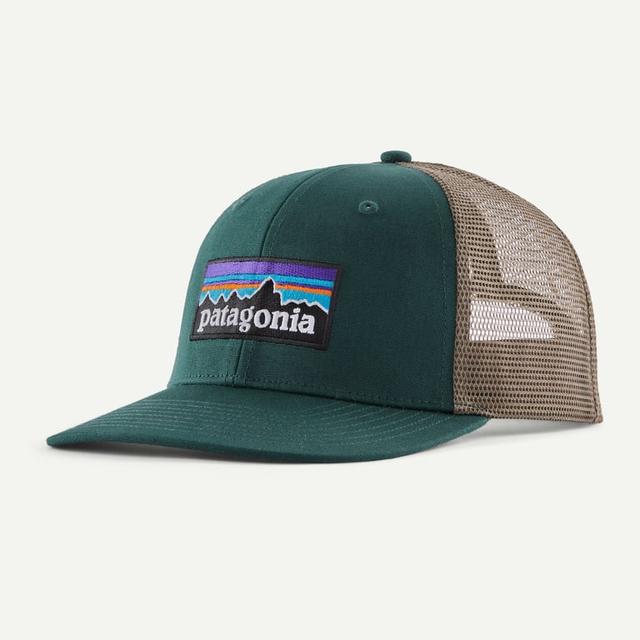 Patagonia P 6 Logo Trucker Hat Cascade Green