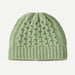 Patagonia Coastal Cable Beanie Lichen Green