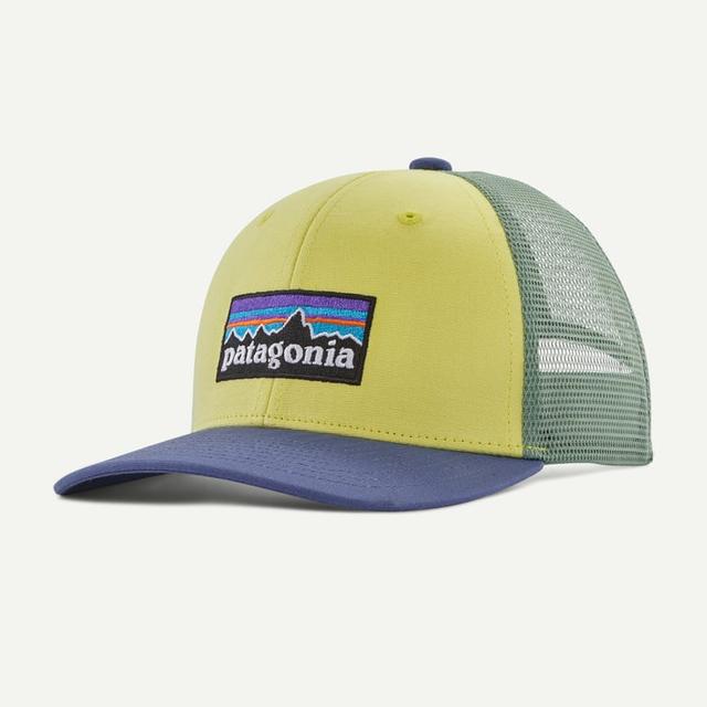 Patagonia Trucker Hat Nearly Green