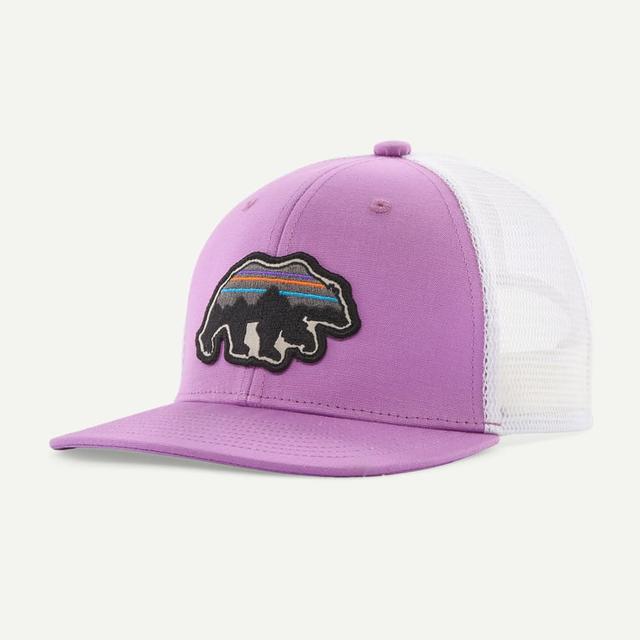 Patagonia Trucker Hat Brisk Purple