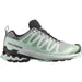 Salomon Xa Pro 3d V9 Gore-tex Quiet Shade / Lily Pad / Blue Haze