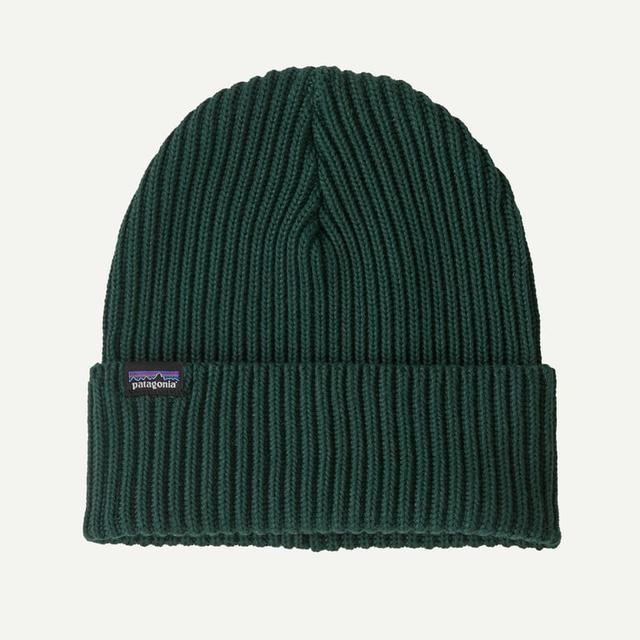 Patagonia Fishermans Rolled Beanie Cascade Green