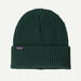 Patagonia Fishermans Rolled Beanie Cascade Green