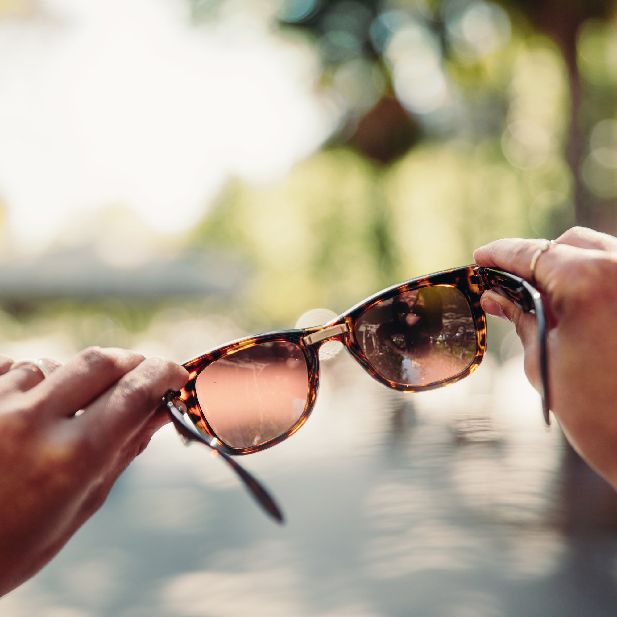 sunglasses