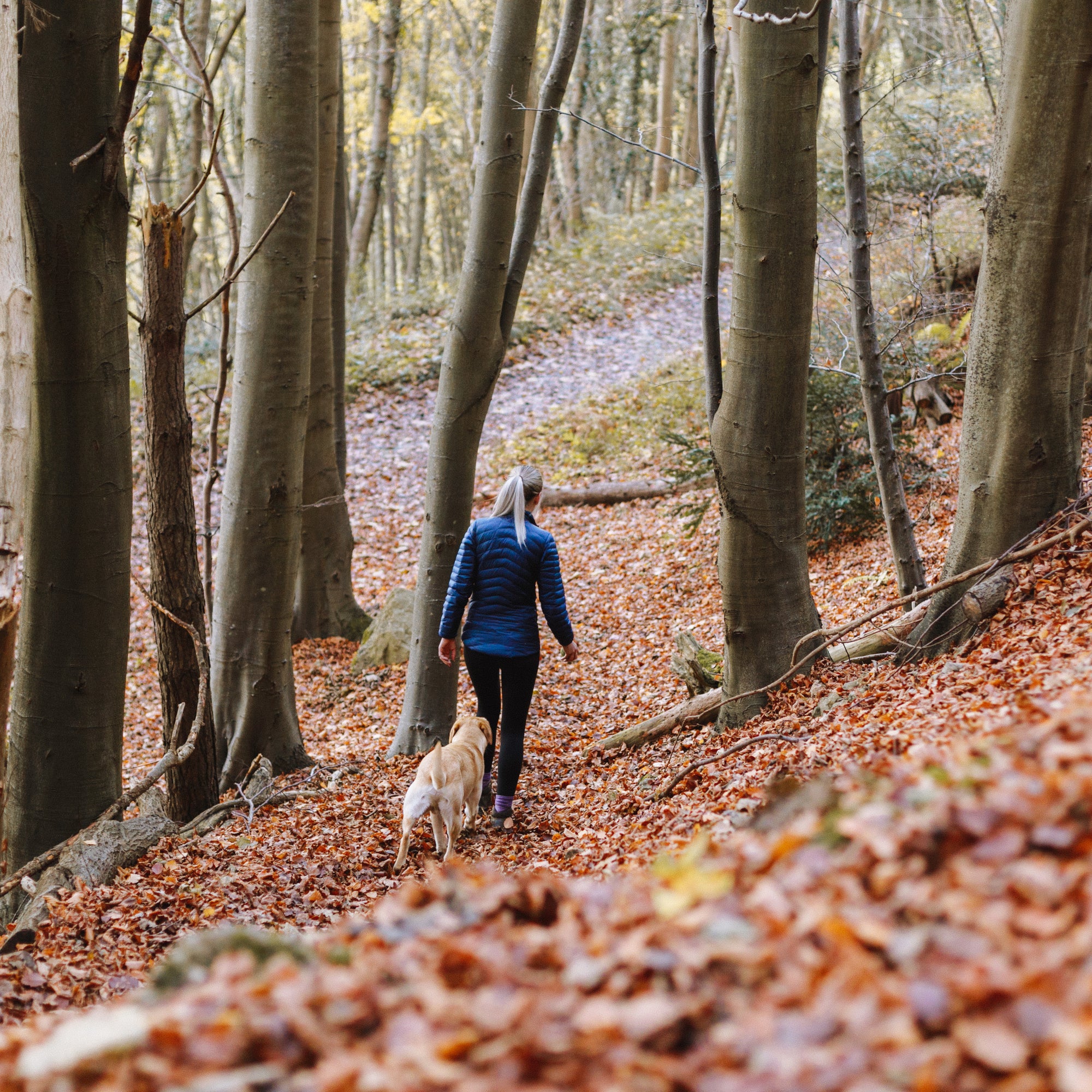 woman hiking with dog in fall leaves