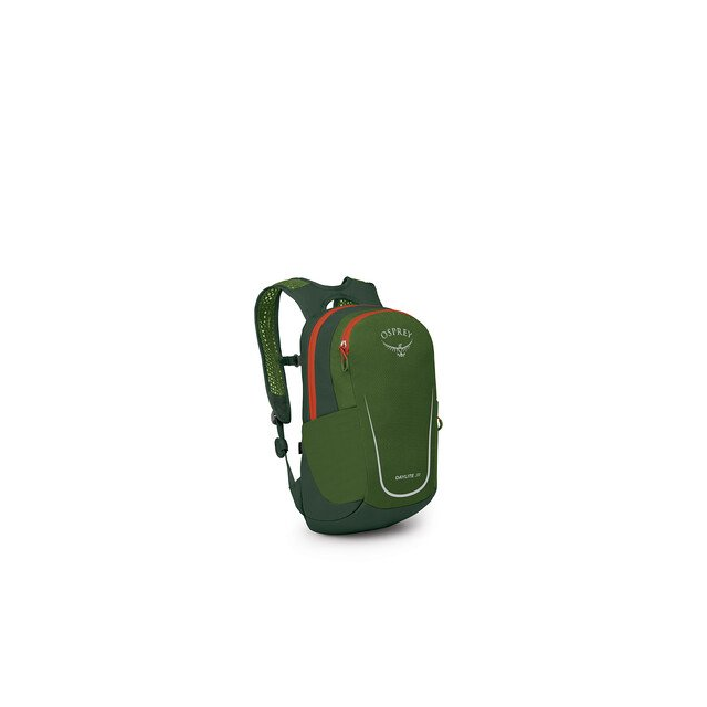 Osprey Packs Daylite Youth Pack Green Canopy/Green Belt